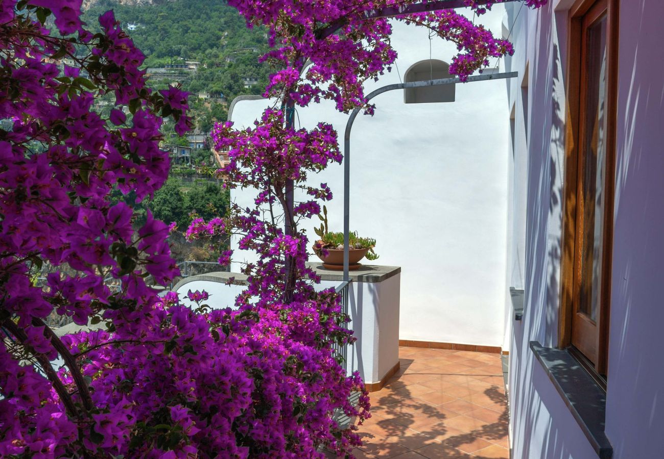 Villa in Positano - Villa Field