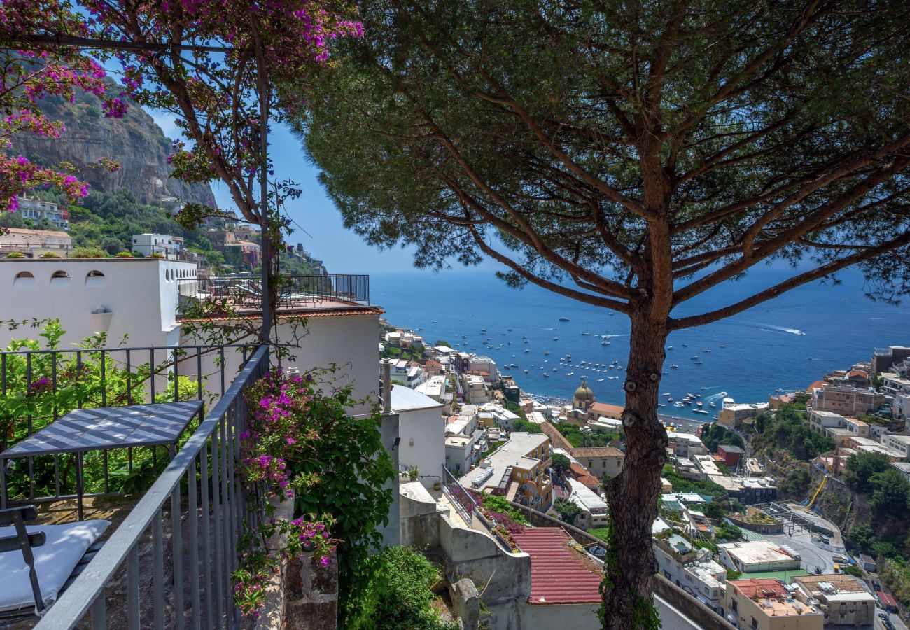 Villa in Positano - Villa Field