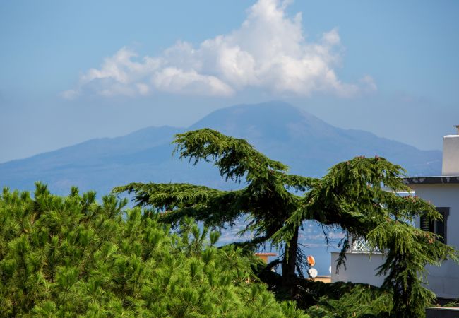 Apartment in Sorrento - Esé