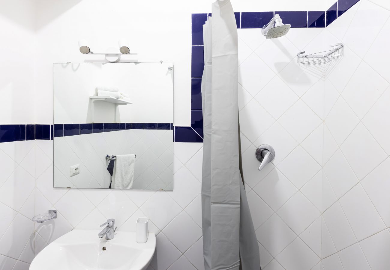 Apartment in Sorrento - Il Quadrifoglio Verde