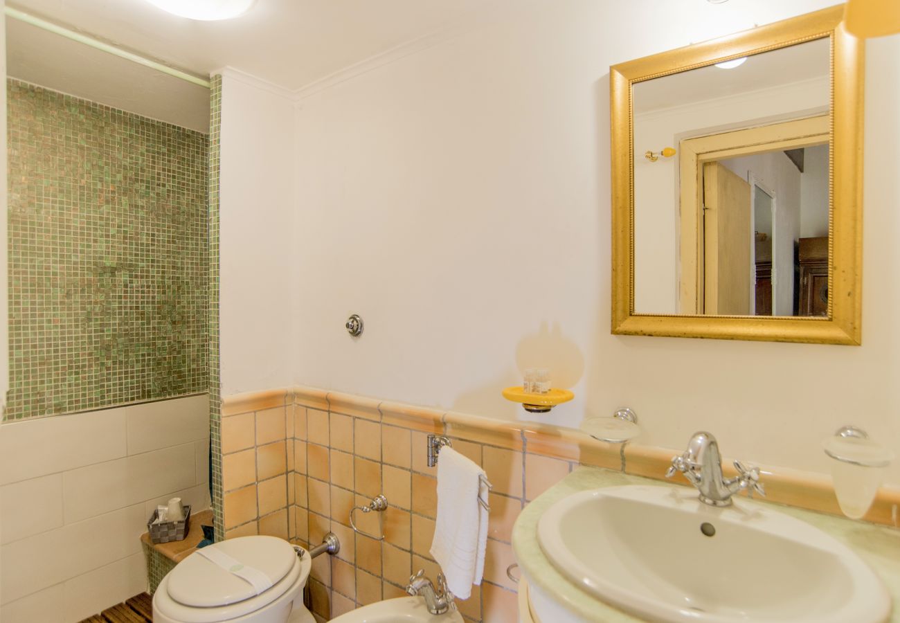 Apartment in Rome - Trevi Fountain Apartment