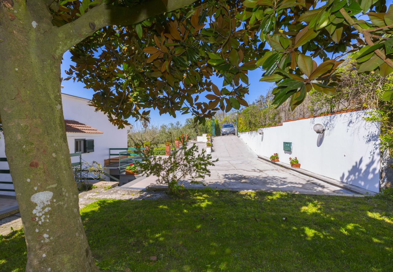 Villa in Massa Lubrense - Estate4home - Villa Corinna