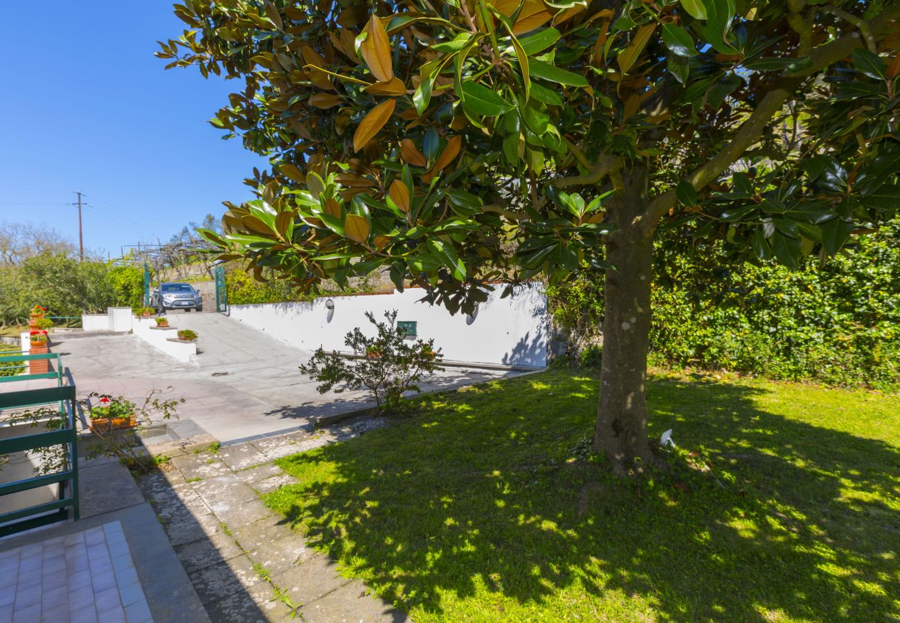 Villa in Massa Lubrense - Estate4home - Villa Corinna