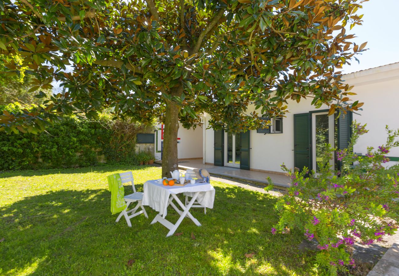Villa in Massa Lubrense - Estate4home - Villa Corinna