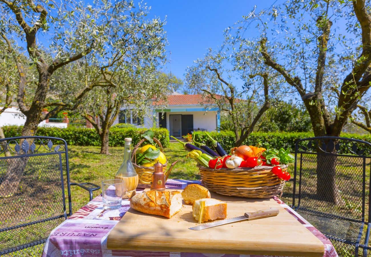 Villa in Massa Lubrense - Estate4home - Villa Corinna