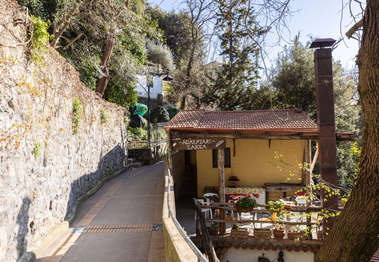 Apartment in Positano - Casa Satriano APT.