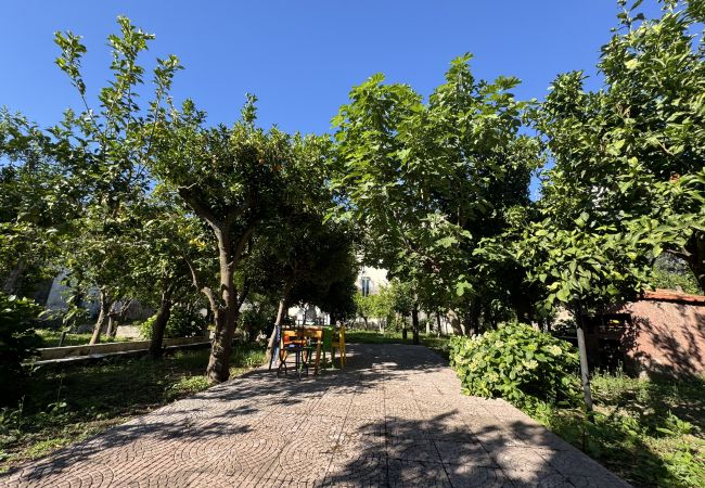 Apartment in Meta - Meta CC Palace: Donna Rebecca Apartment in Meta - Meta CC Palace: Donna Rebecca