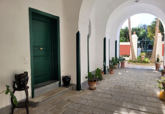 Apartment in Meta - Meta CC Palace: Donna Rebecca Apartment in Meta - Meta CC Palace: Donna Rebecca